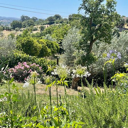Best Luxury Boutique B&B Vista Do Vale Tomar Kültér fotó