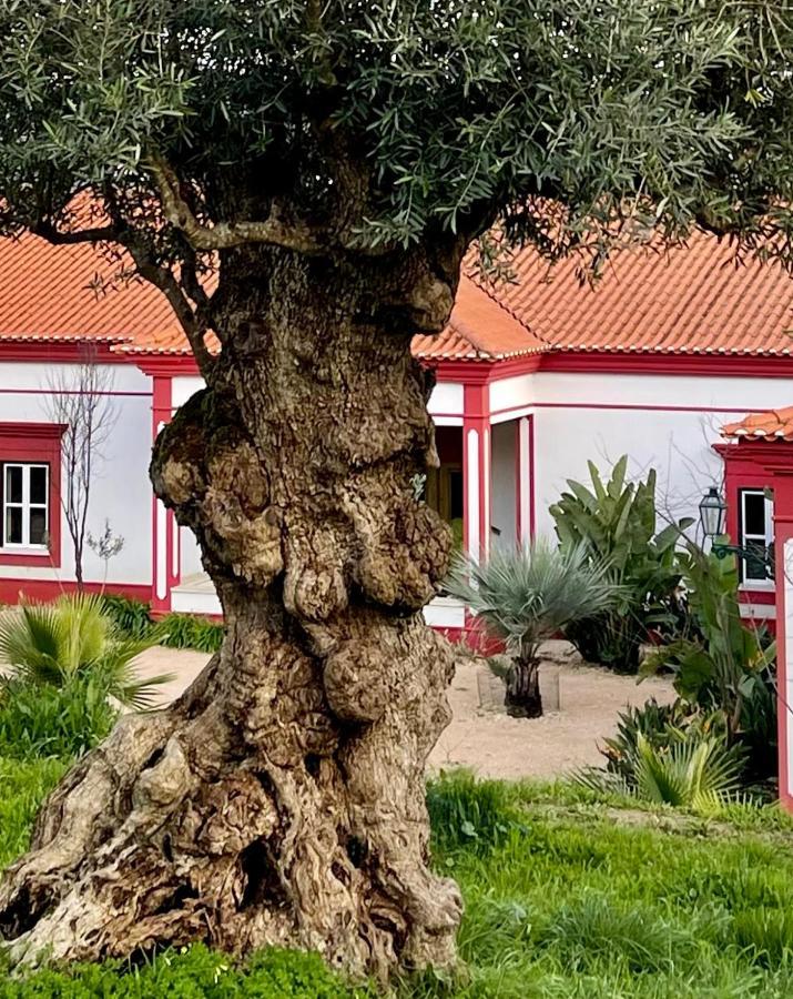 Best Luxury Boutique B&B Vista Do Vale Tomar Kültér fotó
